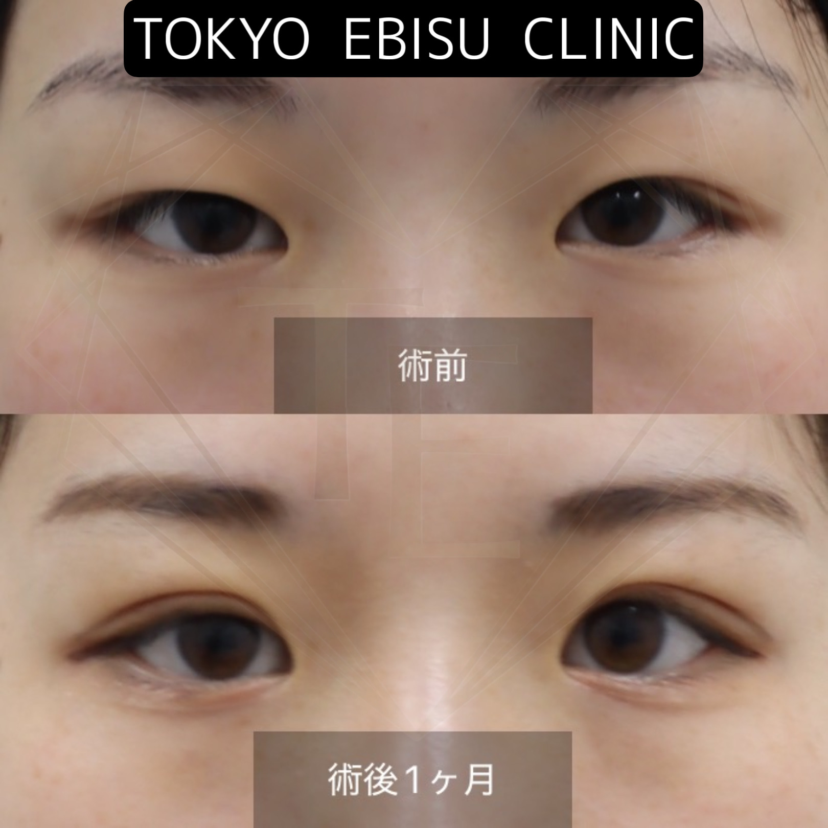 A68FD45D-D12C-4044-977C-03673A801373